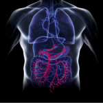 Black portal vein no logo copy