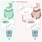 Chaduari_Publications_Image1