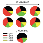 DRAG mice